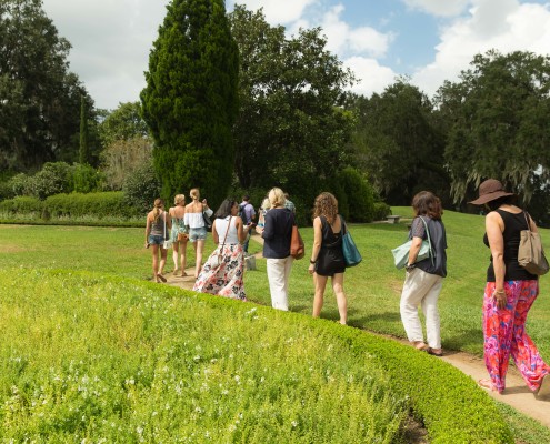 Group stroll through the plantation
