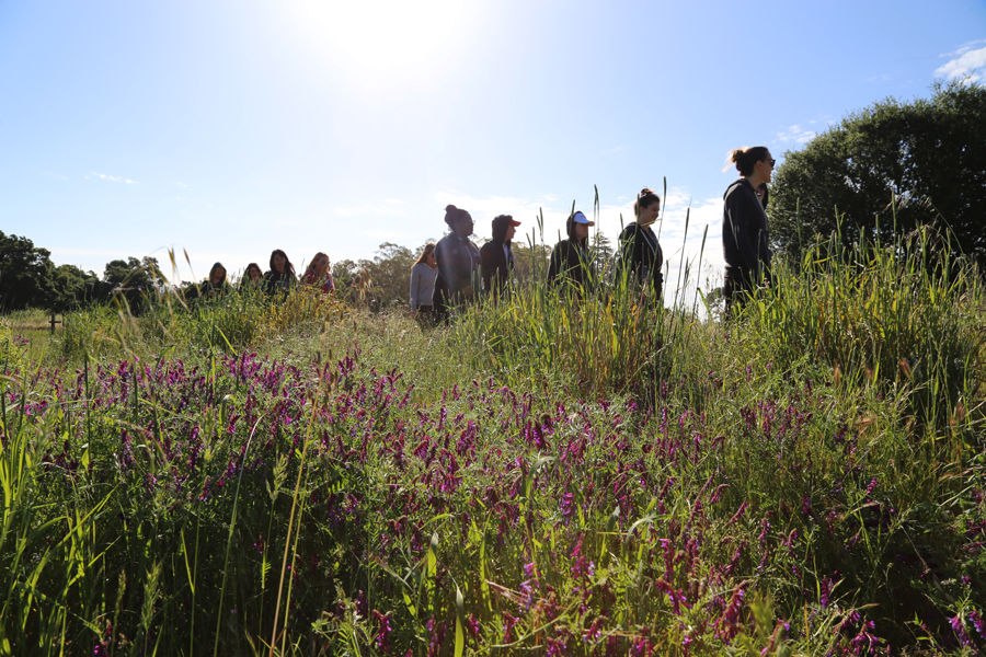 Influencers and editors walking through wine vineyard