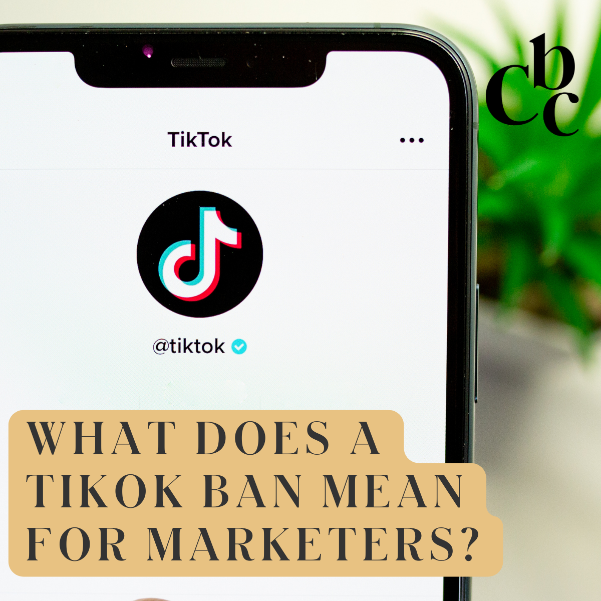 What Does A TikTok Ban Mean For Marketers CerconeBrownCompany
