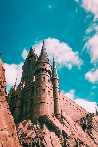 The Wizarding World of Harry Potter at Universal Studios is a branded experience.